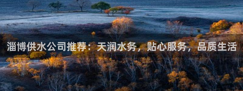 球友会是什么