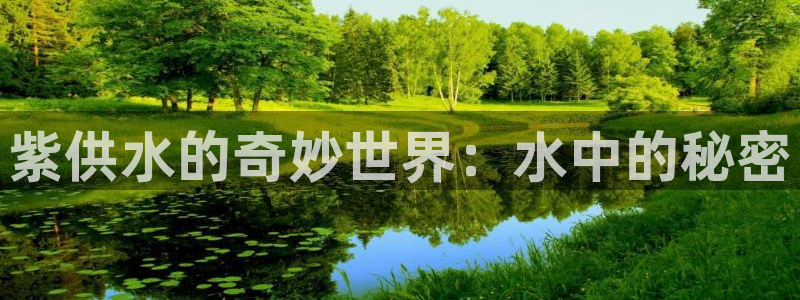 球友会软件