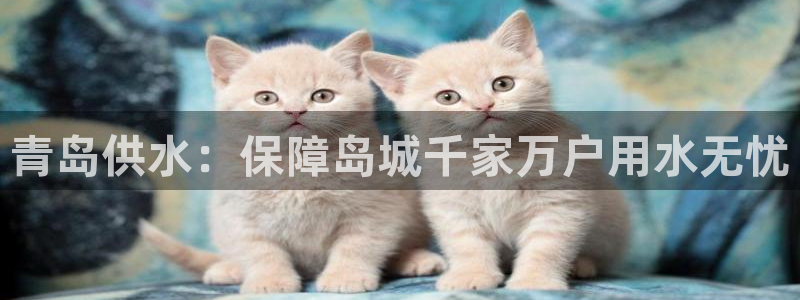 球友会链接