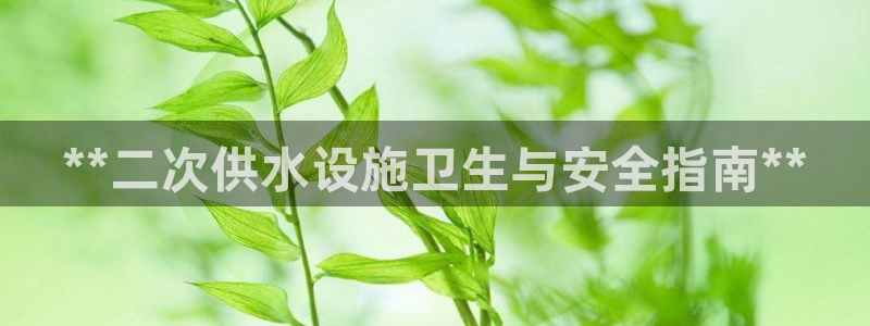 QY球友会官网