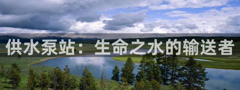 球友会logo