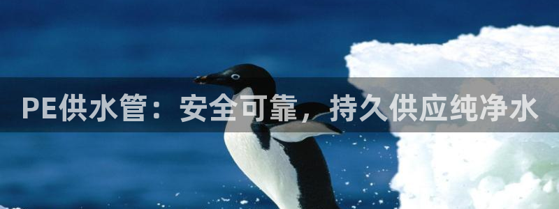 球友会app官方网站
