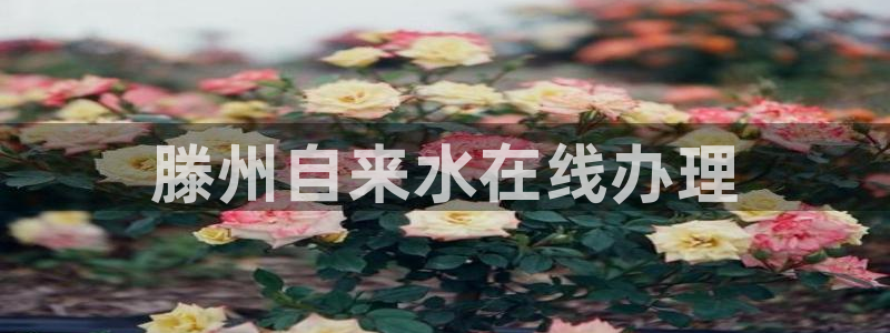 球友会体育app下载官网苹果