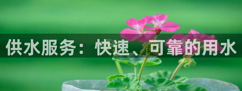 球友会聚餐发言怎么说