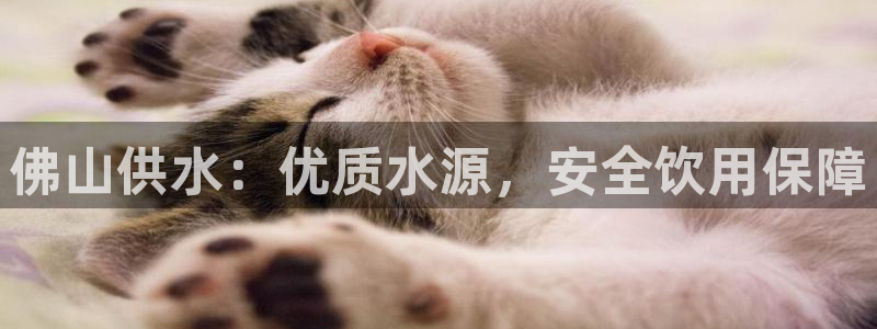 球友会提款不到账