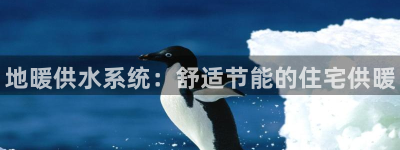 球友会app安全吗