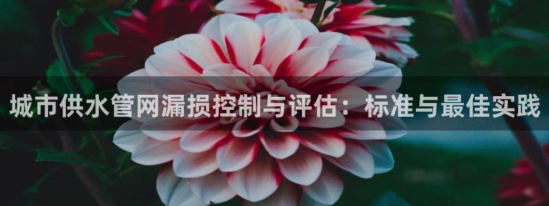球友会提款审核中