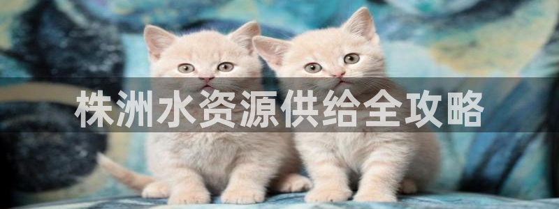 球友会体育官网