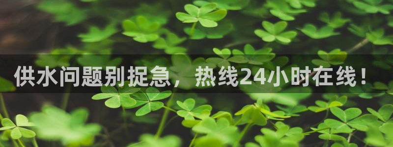 qy球友会体育
