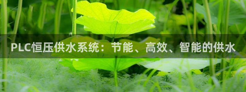 qy球友会体育官网下载