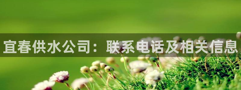 球友会App