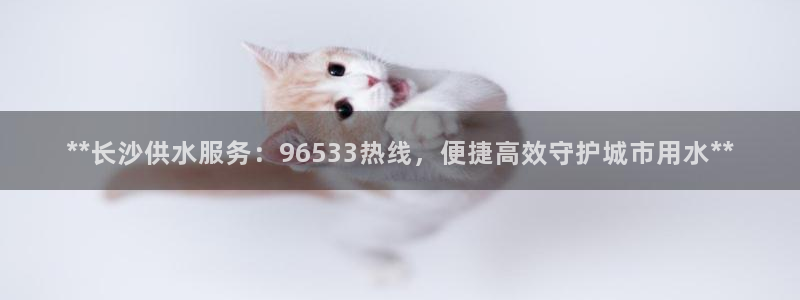 球友会登录网站怎么登录