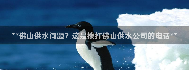 球友会体育官网
