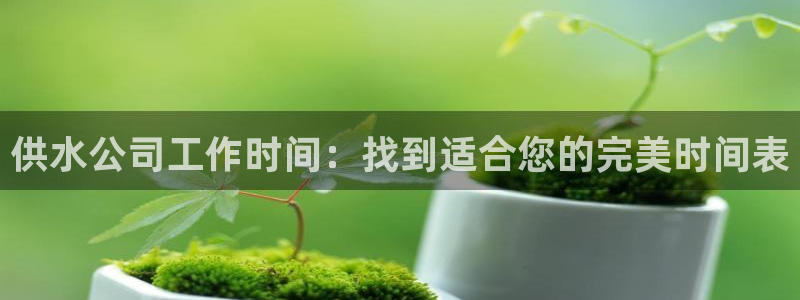球友会体育app下载安卓手机
