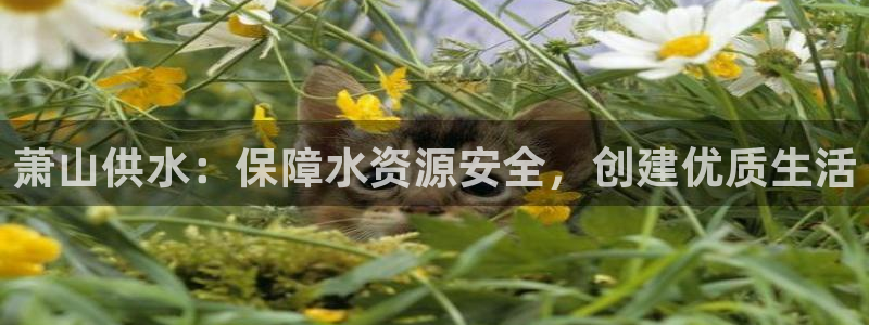 球友会友谊赛7月28日曼联阿森纳