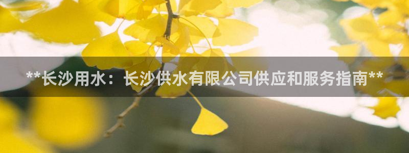 球友会友谊赛赛程