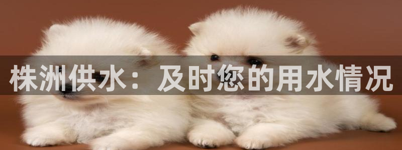 球友会app安全吗可靠吗知乎