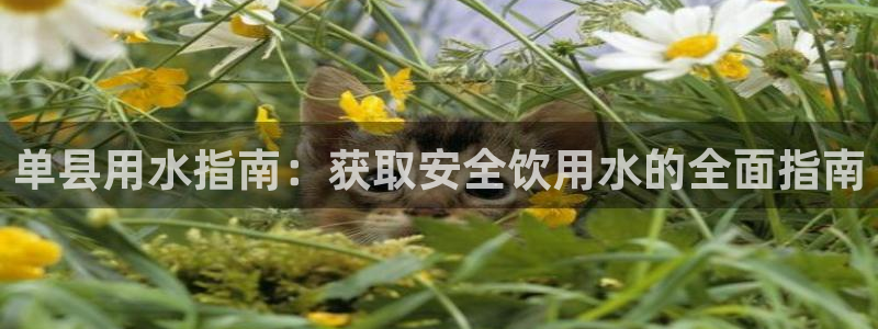 球友会logo