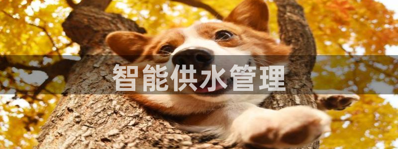 球友会是什么