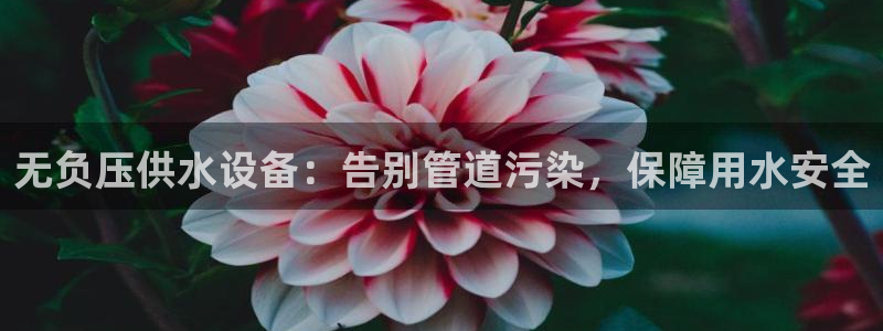 球友会官网登录入口手机版