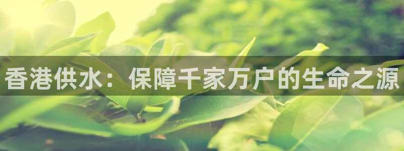 球友会聚餐发言