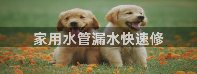 球友会提现不到账