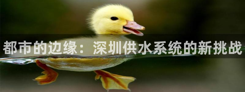 qy球友会体育官方平台