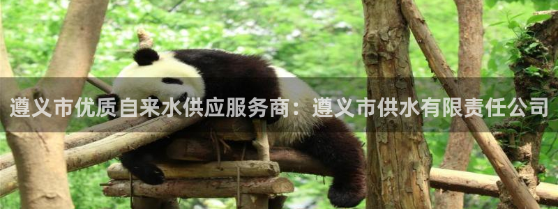 球友会官网下载