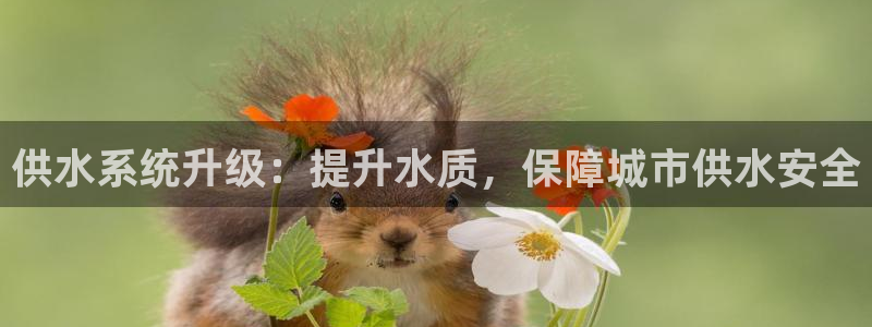 球友会下载