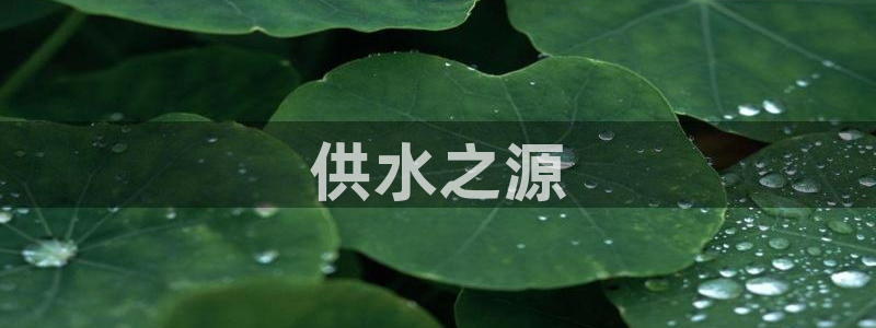 球友会软件