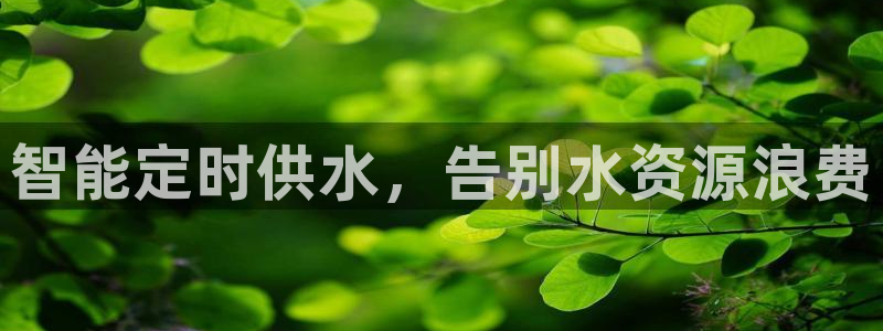 qy球友会体育官方平台
