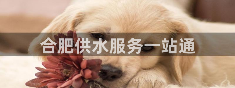 球友会台球俱乐部