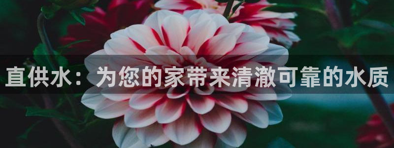 球友会提现游戏平台抽查