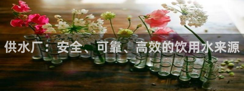 球友会网站多少