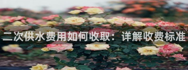 球友会比赛结果查询网站