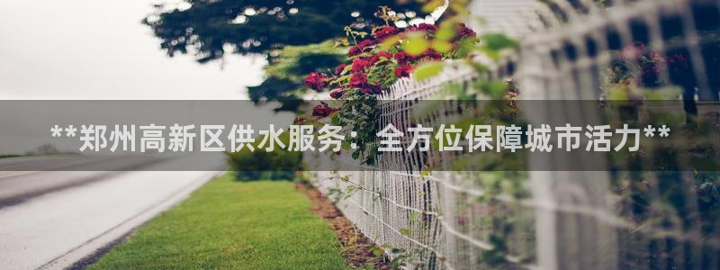 球友会友谊赛赛程