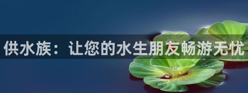 球友会体育app官方版下载安装