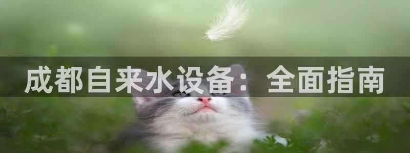 球友会qy