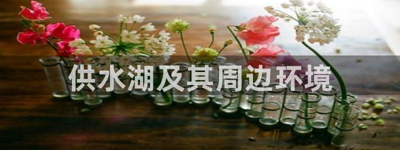 球友会提款审核