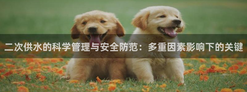 球友会体育app官方版下载安装