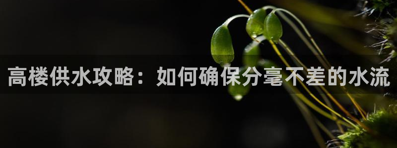 球友会下载安装