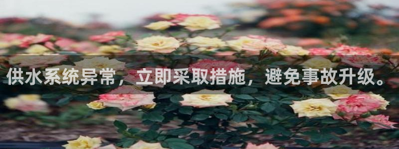 球友会官方网站下载