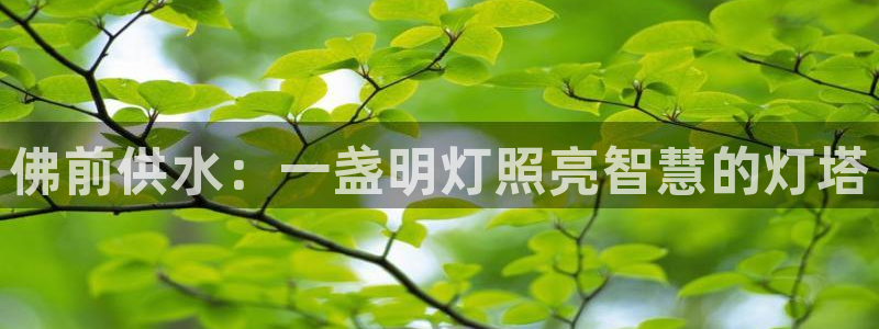 球友会体育app下载安卓