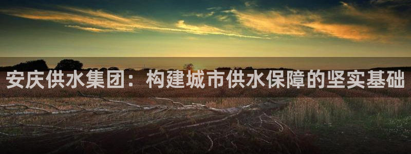 球友会体育app下载