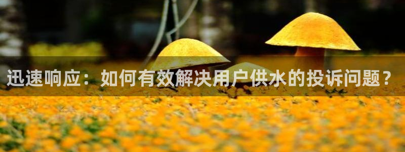 qy球友会体育官方平台