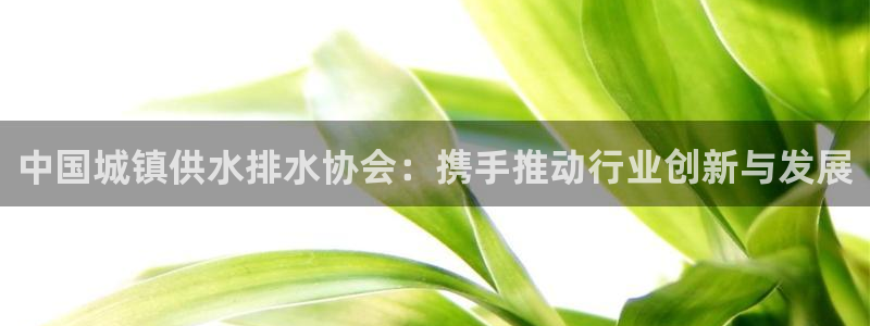 球友会台球俱乐部在哪
