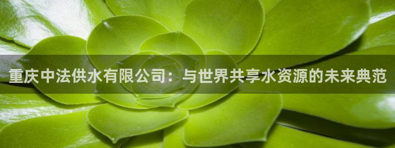 球友会官方网站