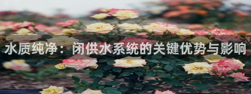 球友会兑换码