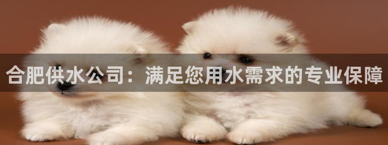 球友会app安全吗可靠吗