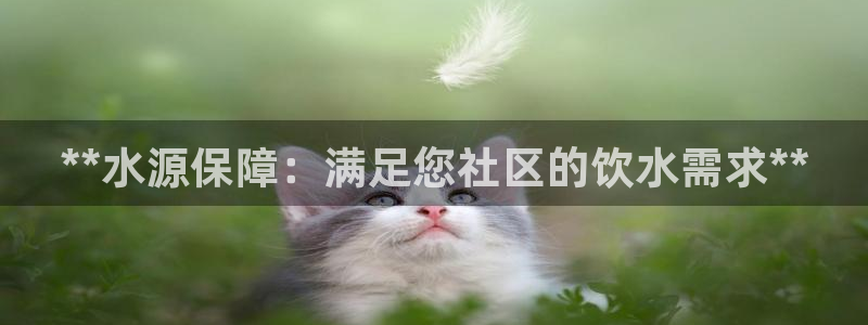 球友会提现不到账